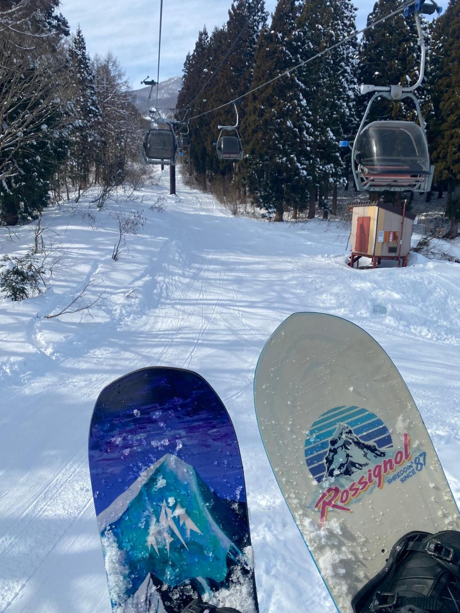 Myoko Forest